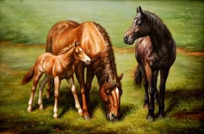Horses 038, unknow artist